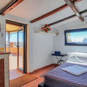 Brandnew House On The Terrace
