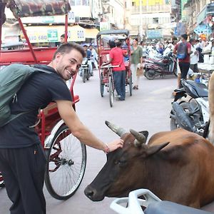 Yes Boss By Backpackers Heaven Right In Centre Of New Delhi
