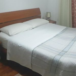 Cozy Nest Ledi