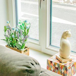 Cosy Retreat In The City Centre