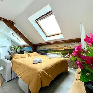 Natural Suite - Proche Gare - 4P