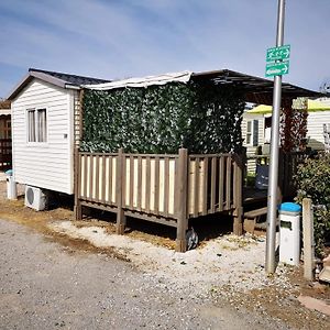 Mobile Home