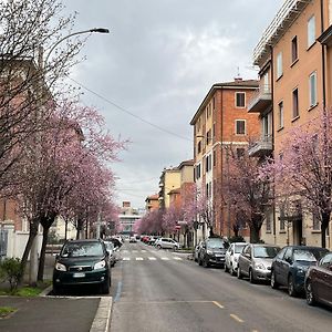 Casa Meli, Ampio Bilocale Nuovo
