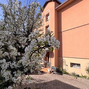 T3 + Veranda A Strasbourg