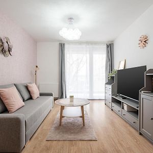 Appartement à 1 Chambre à Coucher
