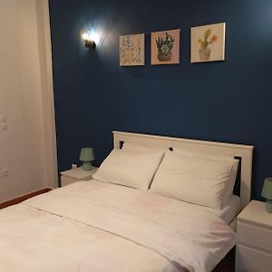 Pipinou Downtown Apartment By Zain