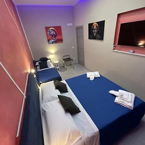 B&B Piccololucio2