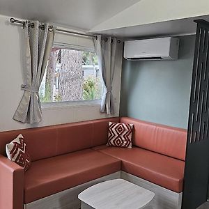 Mobile Home