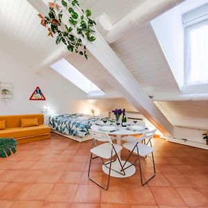 The White Jungle - San Babila Attic