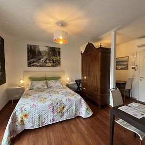 Chambre Supérieure Lit King-Size