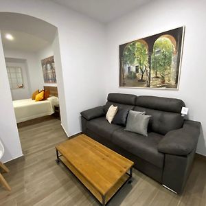 Suites Del Mar Y Suite De Cordoba - Apartmentos En Pleno Centro