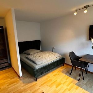 Apartment 15 Im Lehenviertel