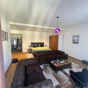 Magnificent Apartment, Geneva Center, Geneva Lake