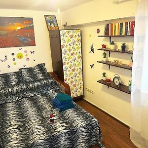 Andu Apartament