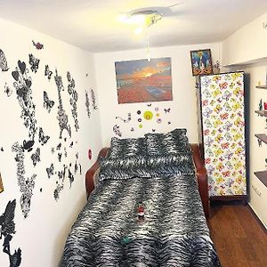 Appartement Studio