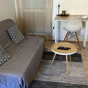 Studio Renove - Proche Hopital, Universite & Gare St-Agne - Tv & Wifi Hd