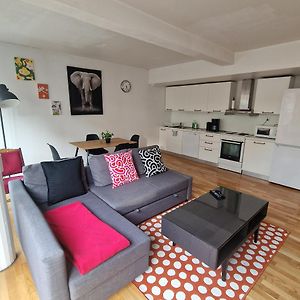 Serene 1 Bedroom Apartment Oslo