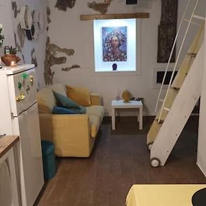 Maison 1 Chambre