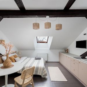 Wislna Old Town Apartments