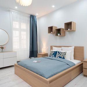 New Spacious Apartment At Superb Location