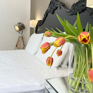 Appartement de Luxe