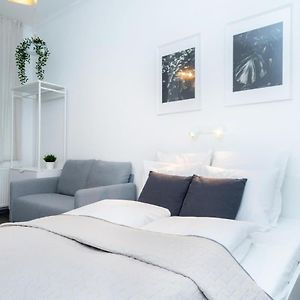 Ideal New Apartment In The Center