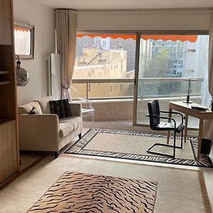 Un Studio De Luxe Les Champs Elysees