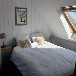Studio Lit Queen-Size