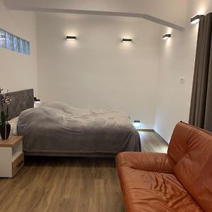 Art Apartment City Center Lj