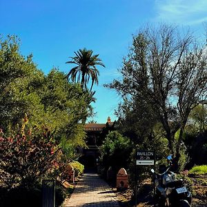 Appartement Spacieux Avec Piscine A La Palmeraie