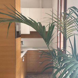 Appartement Supérieur