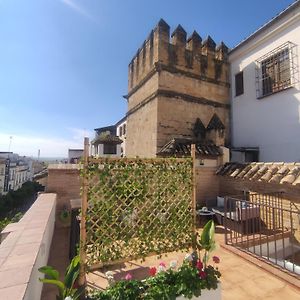 La Muralla De San Fernando De Cordoba