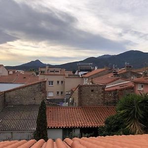 Appartement Catalan Coeur Village-Integralement Renove