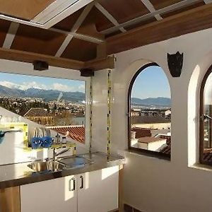 Golondrinas De La Alhambra