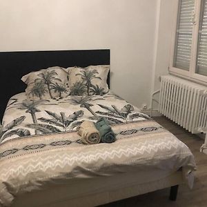 Petillant Cosy