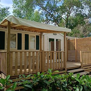 Mobile Home
