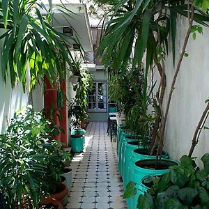 Pagration Youth Hostel