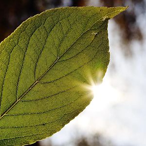 Le Mas du Soleil
