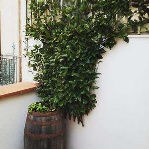 Il Terrazzino Sul Kemonia