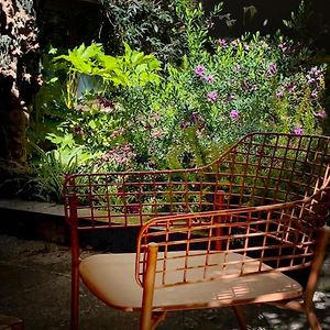 Loquat House Nel Giardino Segreto In Zona Vaticano