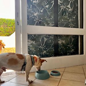 Studio Albufeira Jardim T0