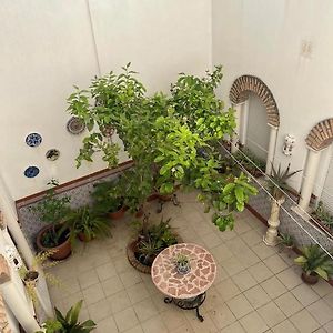 Chambre Quadruple de Luxe