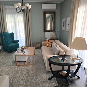 Large 1 Bedroom Penthouse With Large Terrace