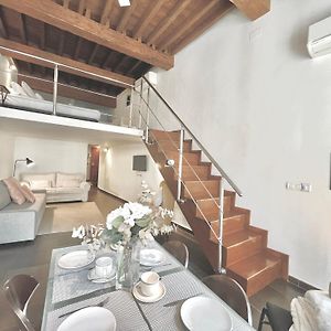 Loft Especeria Centro