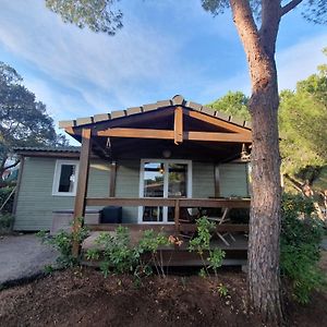 Chalet Dans Residence Les Pescalunes