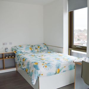 Chambre Supérieure Simple