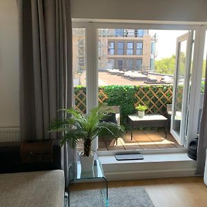 New- Prime Location-Spacious Cozy Room Next To Hyde Park