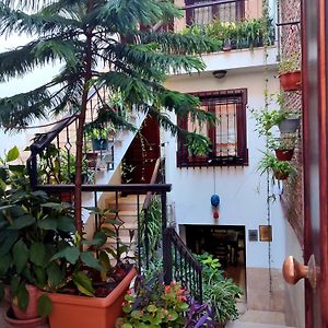 Villa Sphendone Suites