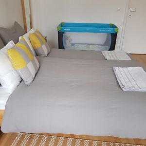 Schubert Park Apartment Near Volksopera Vienna