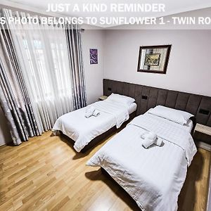 Sunflower Rooms